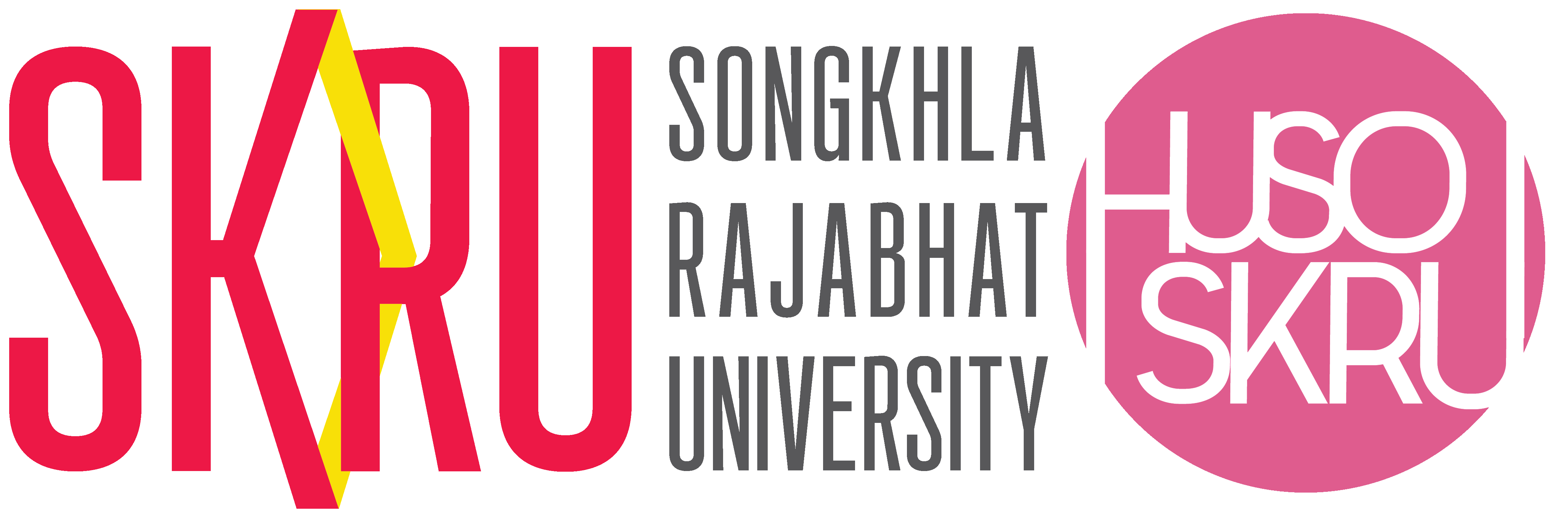 HUSO Logo